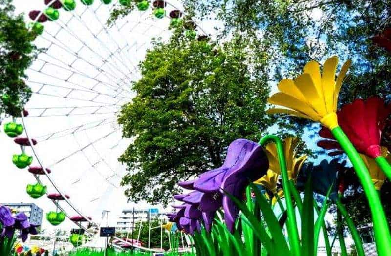 Legendia flower 2 Diabelski młyn i kolorowe kwiaty na tle drzew w parku rozrywki.