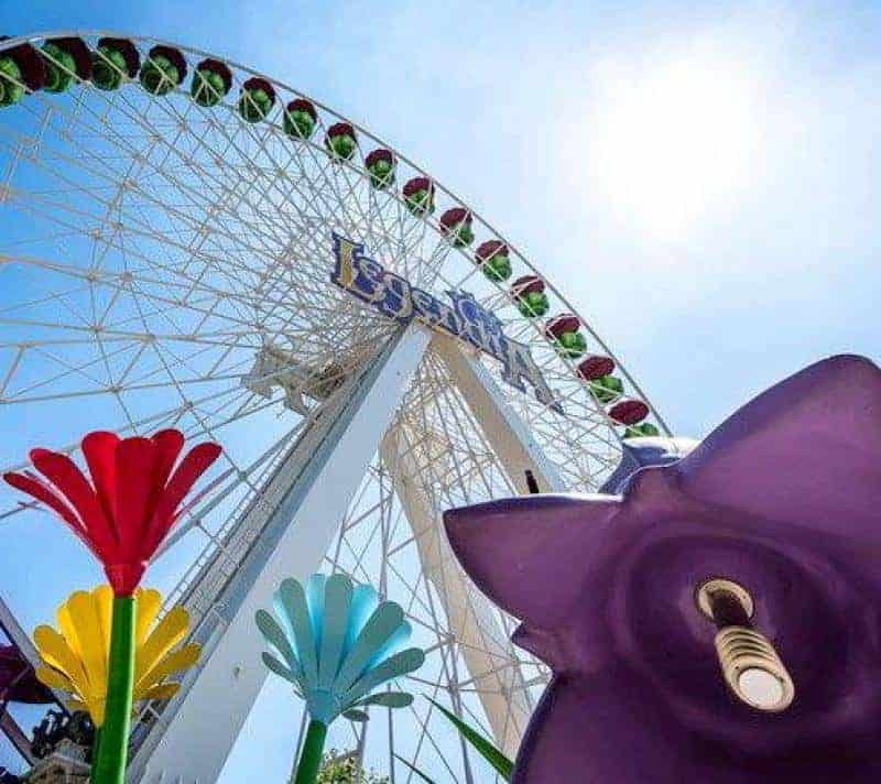 oryg_064490685_1129949550544944_1465385417682452480_o Widok na diabelski młyn z różnokolorowymi kwiatami na pierwszym planie.