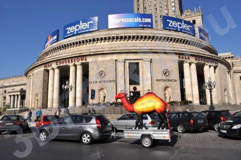 oryg_064490685_1129949550544944_1465385417682452480_o Budynek z napisem