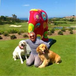 Mężczyzna klęczący na trawie z dwoma psami, w tle kolorowa rzeźba słonia.