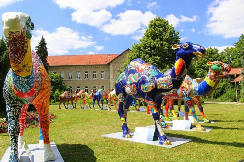oryg_064490685_1129949550544944_1465385417682452480_o Kolorowe rzeźby wielbłądów na trawie przed budynkiem.