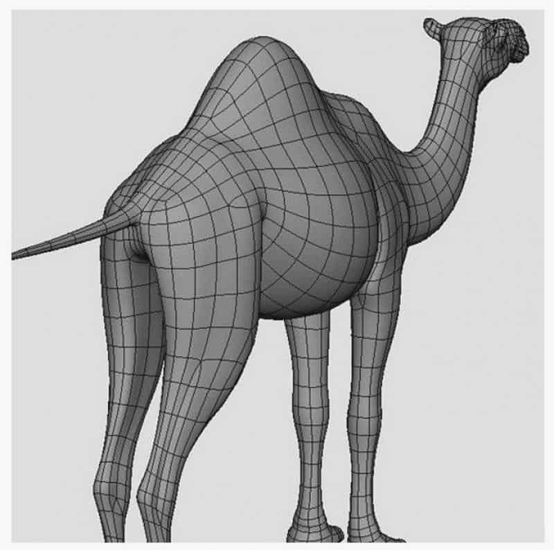 Karawana wielbłądów 3 Model 3D wielbłąda bez tekstur.