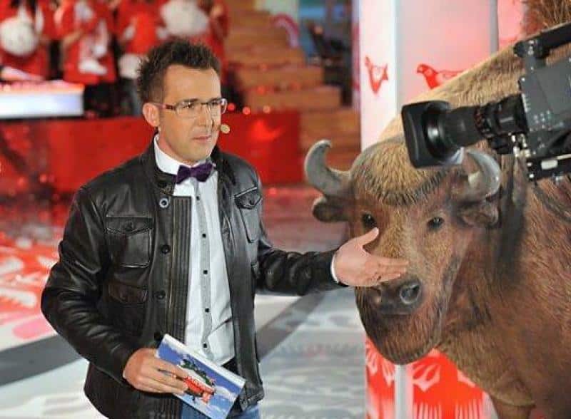 Żubry w „Kocham Cię Polsko” 3 Mężczyzna w okularach i skórzanej kurtce stoi obok wypchanego żubra w studiu telewizyjnym.