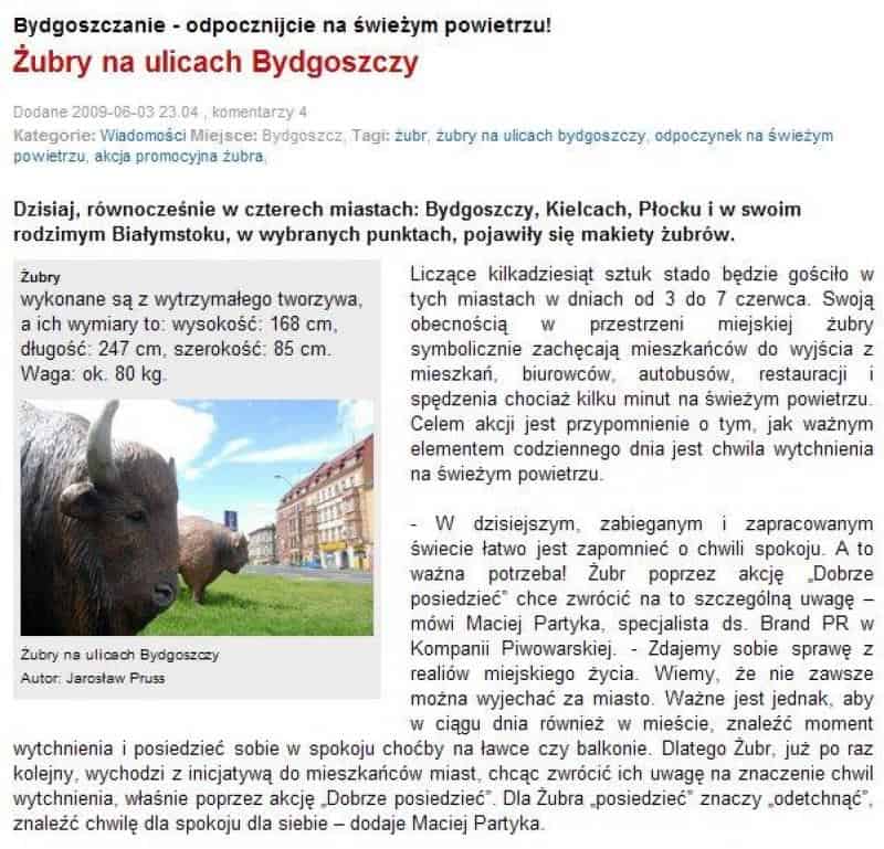 Figury reklamowe piwa ŻUBR 2 Żubry na ulicach Bydgoszczy, w Kielcach, Płocku i Białymstoku. Makiety żubrów zachęcają mieszkańców do wypoczynku na świeżym powietrzu.