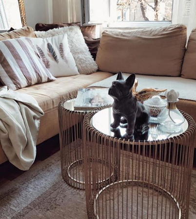 Figurka dekoracyjna pies Bulldog Francuski - jednokolorowy 3 Figurka dekoracyjna pies Bulldog Francuski - jednokolorowy