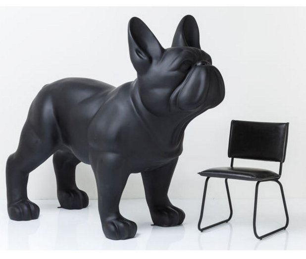 Duży pies bulldog francuski - jednokolorowy. 3 Duży pies bulldog francuski - jednokolorowy.