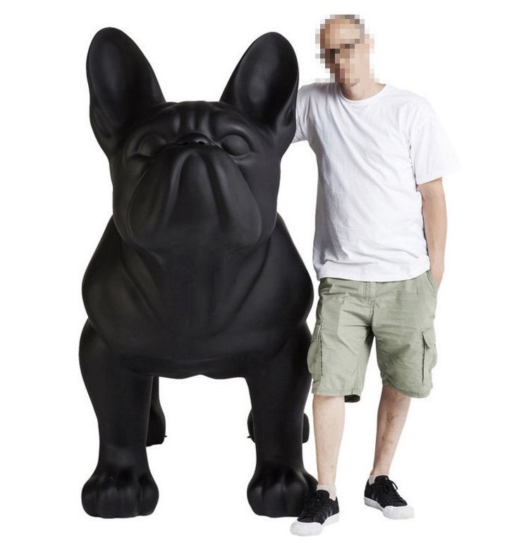 Duży pies bulldog francuski - jednokolorowy. 1 Duży pies bulldog francuski - jednokolorowy.