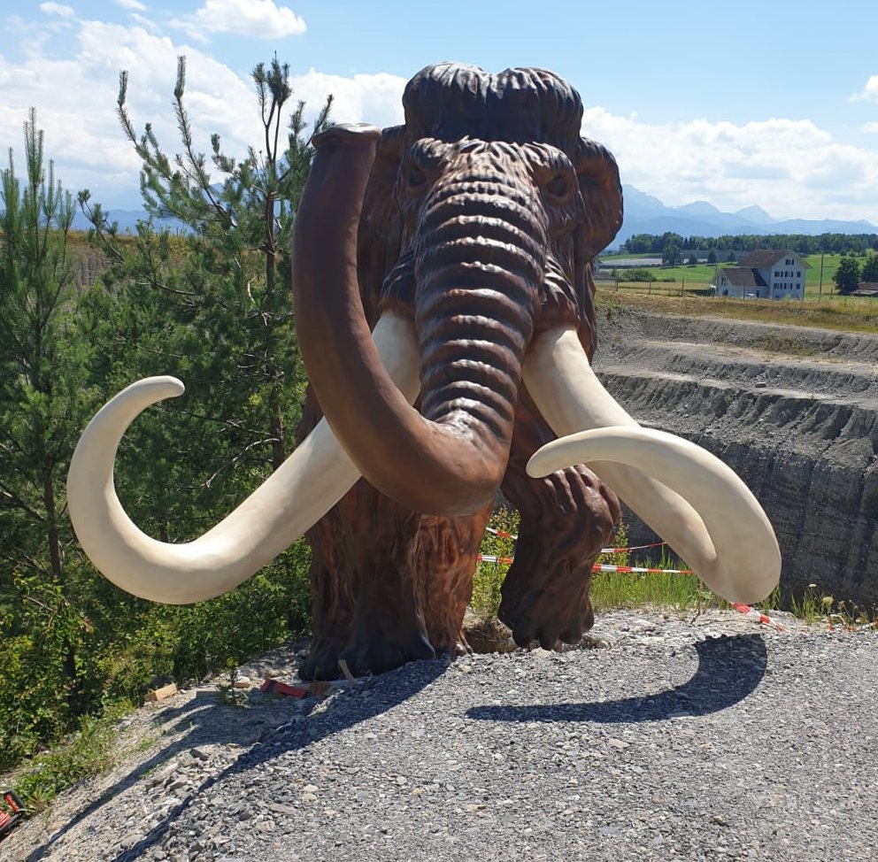Mamut naturalnej wielkości do parku rozrywki 6 Mamut 400cm montaż-3DFORMeu