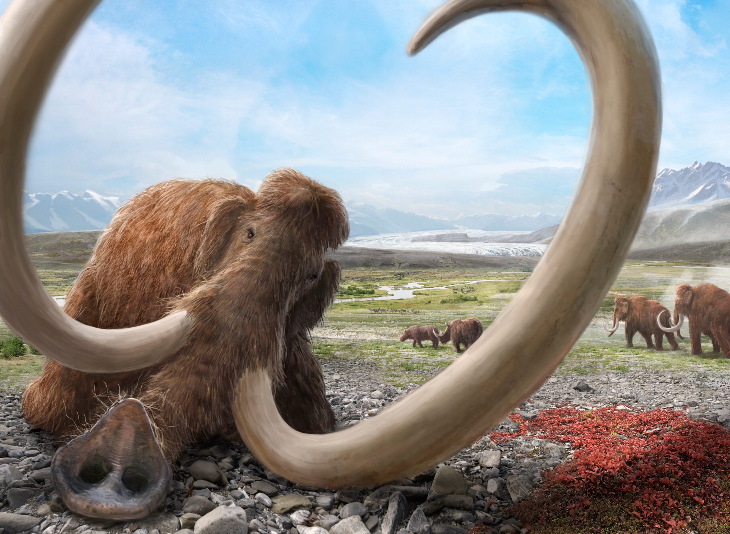 Mamut naturalnej wielkości do parku rozrywki 7 Mamut naturalnej wielkości wizualizacja