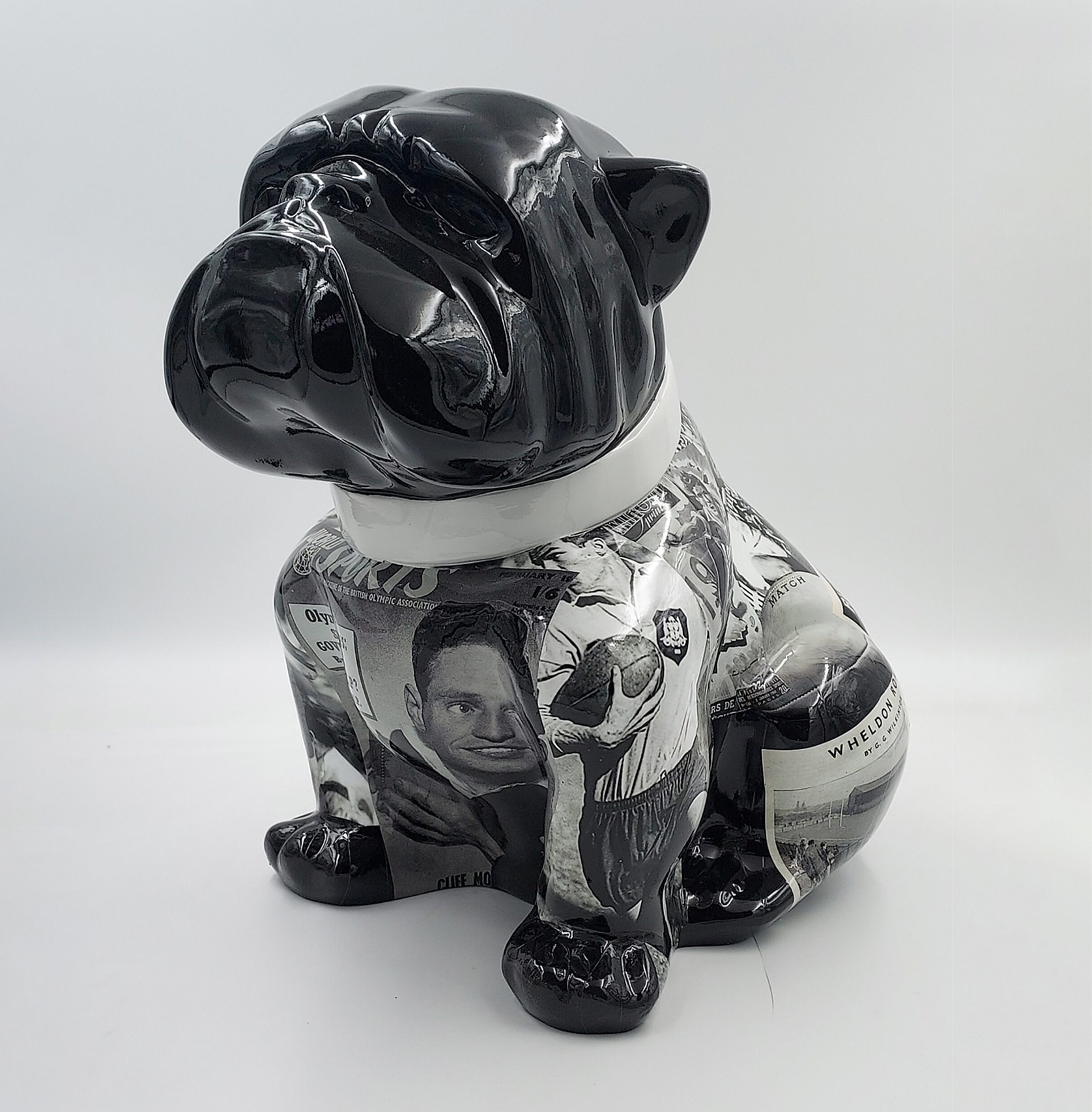 pies Bulldog Angelo 60cm - Rugby 1 pies Bulldog Angelo 60cm - Rugby