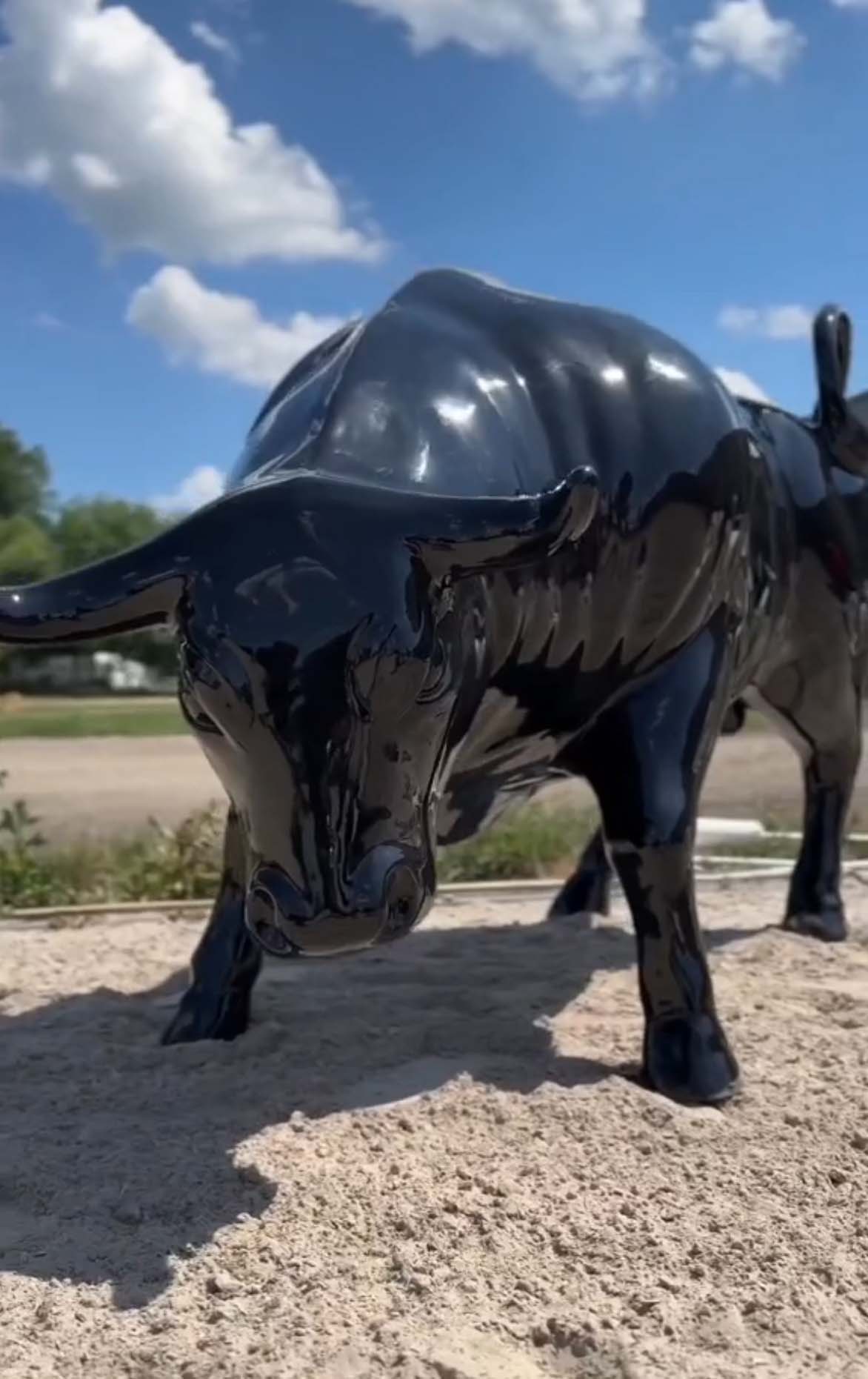 Czarna, błyszcząca rzeźba byka na piaszczystym podłożu, na tle pochmurnego nieba.